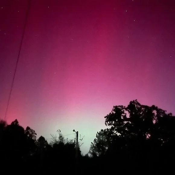 Unlisted - Picture 1 of 1